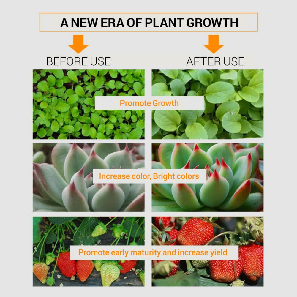 The Importance of UV and Infrared Light for Growing