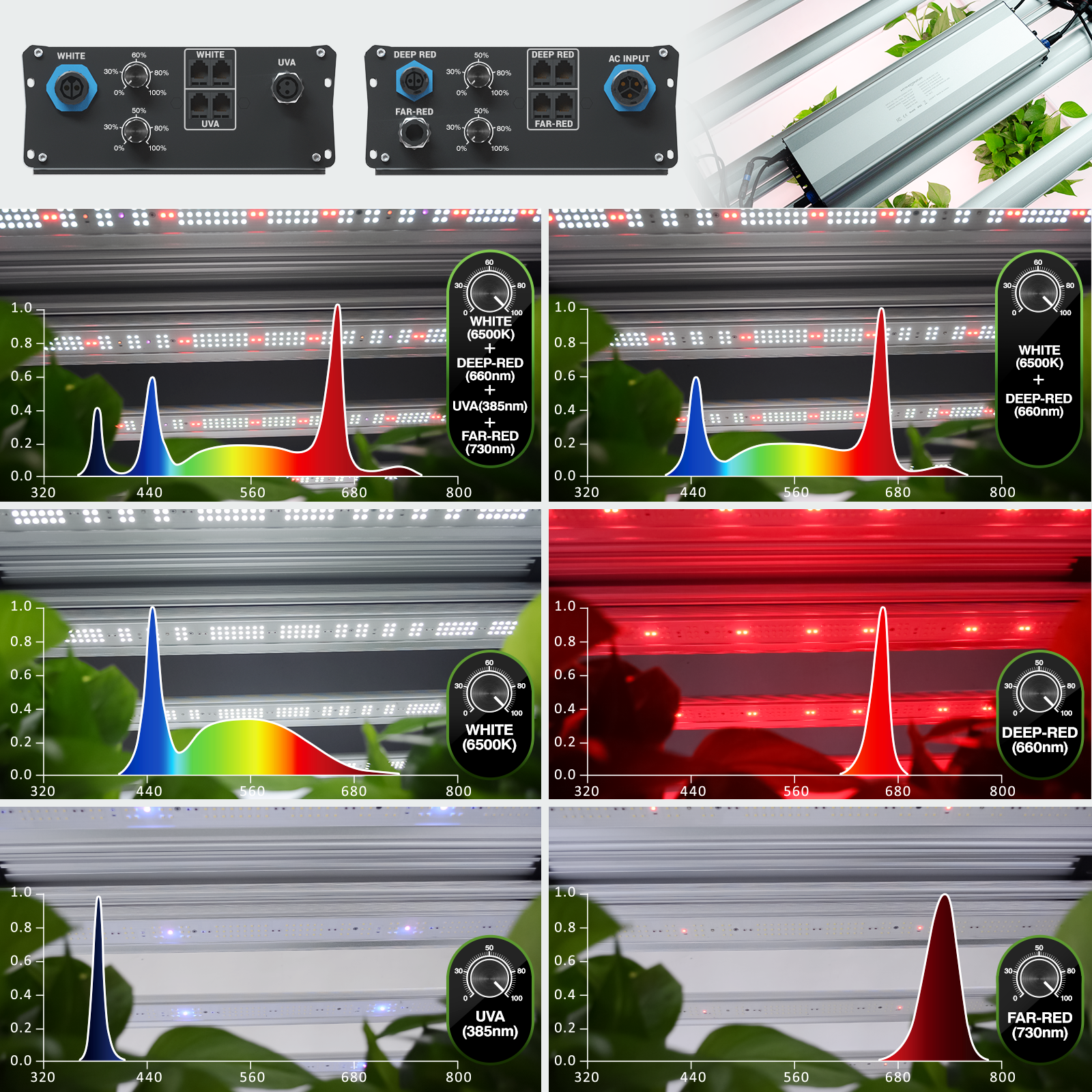 Spectrum suggestions of SMART-670 LED grow light for different growth stages